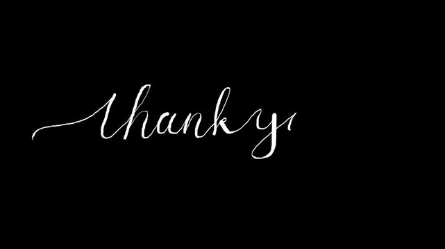 Animated Thank you with calligraphy monoline vintage text on  handwritten style suitable Messages, holidays and festival. Alpha channel only 4k.