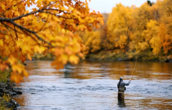 Fisherman fly fishing in a river surrounded by vibrant autumn nature and fall trees