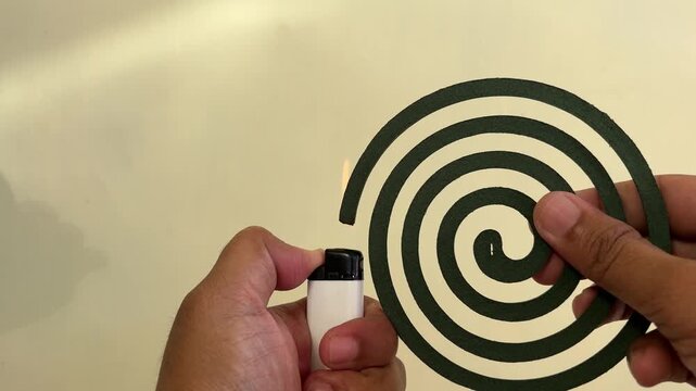 An Asian man is lighting a green, spiral-shaped mosquito coil with a gas lighter to repel mosquitoes.