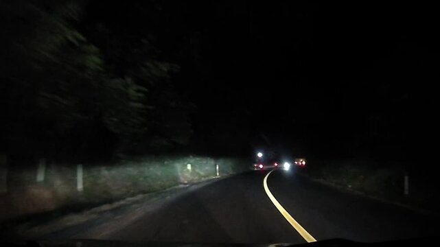 Rear Dashcam Night Driving Through Forest Road from Rembang to Blora, Central Java, Indonesia