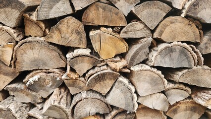 Fototapeta premium Firewood pile, logs, wood showing growth rings, stack of cut logs, nature, wood, natural background 2
