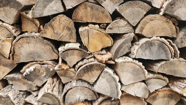 Firewood pile, logs, wood showing growth rings, stack of cut logs, nature, wood, natural background 2