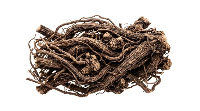 Dried Valerian Root (Valeriana officinalis) - Tangled Fibrous Root Bundle Isolated on White