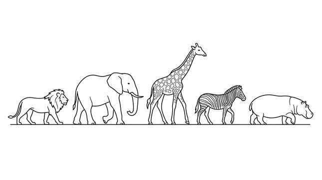 African Safari Animals Line Art Illustration Featuring Lion Elephant Giraffe Zebra and Hippo Isolated on White Background
