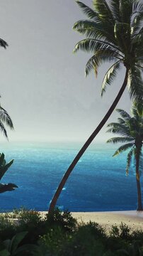 A serene beach scene unfolds with turquoise waves softly touching the sandy shore. Tall palm trees lean gracefully, framing a tranquil moment at sunset. Nature whispers peace and beauty.