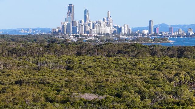 Surfers Paradise Skyline View Across South Stradbroke Island Forest