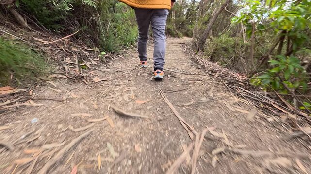 Man Hiking on Dirt Trail in Blue Mountains National Park