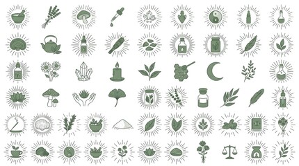 Fototapeta premium Apothecary Botanical Icon Set Sunburst Frame Vector 50 Elements