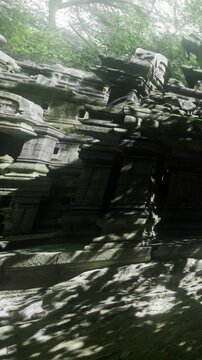 Sunlight filters through the dense foliage, casting intricate shadows on ancient stone ruins. Nature intertwines with history, creating a tranquil atmosphere in this mystical forest setting.