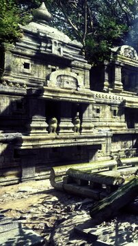 Stone structures emerge from the ground, cloaked in moss and plant life. Sunlight filters through leaves, illuminating the intricate carvings of this long forgotten temple.