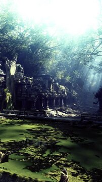 Moss covered stones and crumbling walls of an ancient temple emerge from a tranquil jungle, bathed in soft sunlight filtering through the vibrant green canopy. A peaceful scene invites exploration.