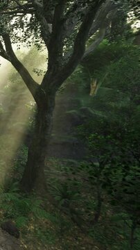 Sunlight filters through tall trees, casting an ethereal glow on vibrant foliage. A tranquil scene unfolds, inviting exploration and connection with natures beauty.