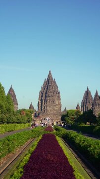 A vibrant flower-lined pathway creates a symmetrical approach toward the monumental central spire of Prambanan Temple.