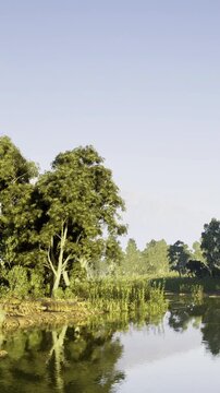 Morning light dances on the calm waters while trees embrace the riverbank. Greenery flourishes under the clear sky, creating a peaceful atmosphere in the heart of nature.