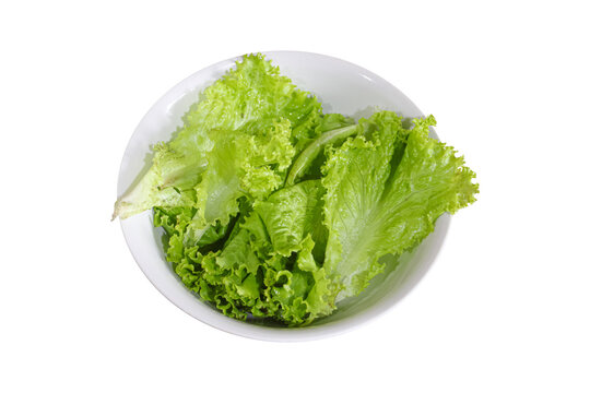 Fresh green lettuce leaves isolated on transparent background photo