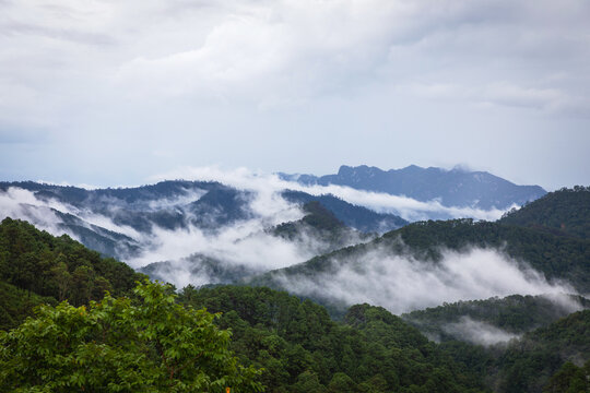 After summer rain with fog and clouds hanging over green forest hills in the national park of thailand. Aerial view