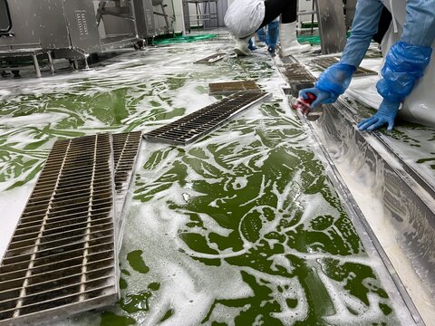 Worker cleaning a floor drainage channel during sanitation procedures in a food manufacturing facility. Foam cleaning process supporting food safety, hygiene management, SSOP, GMP compliance, and envi