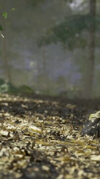In a serene forest, soft sunlight filters through tall trees, illuminating the ground blanketed with golden leaves. A tranquil moment captures natures beauty at dawn.
