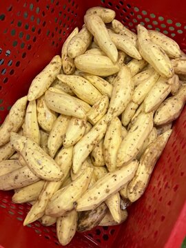 Fresh peeled sweet potatoes prepared in a food-grade basket before industrial food processing. Ingredient preparation stage supporting filling production, commercial food manufacturing, and root veget