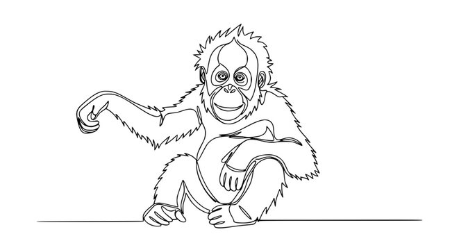 Orangutan Drawing Line Art - Minimalist Monkey Illustration