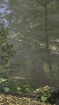 Morning light gently spills into the forest, illuminating lush foliage and creating dancing shadows. A peaceful trail invites exploration amidst natures beauty and tranquility.