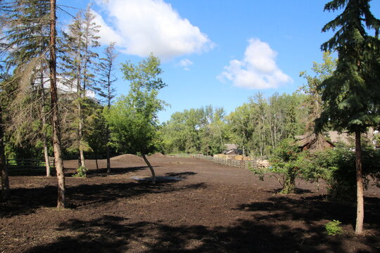 Summer In The Pasture, Fort Edmonton Park, Edmonton, Alberta