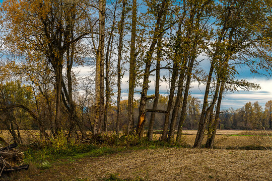 Sauvie Island, Wapato Island, Portland, Oregon