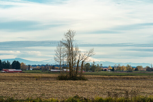 Sauvie Island, Wapato Island, Portland, Oregon