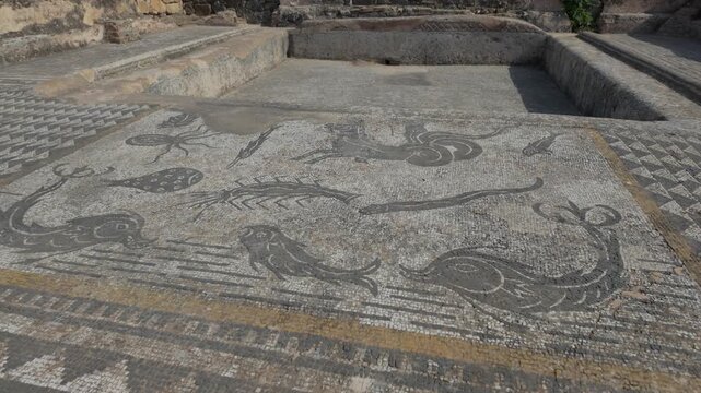 Ground-level view of a remarkably preserved Roman mosaic floor at the UNESCO-listed Volubilis archaeological site in Morocco, featuring intricate ancient decorative patterns and craftsmanship.