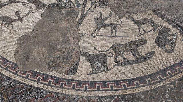 Close view of an ancient Roman animal mosaic at the UNESCO-listed Volubilis archaeological site in Morocco, highlighting intricate wildlife figures and exceptional mosaic craftsmanship.