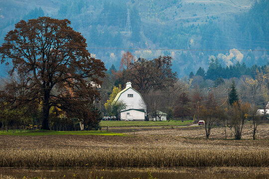 Sauvie Island, Wapato Island, Portland, Oregon