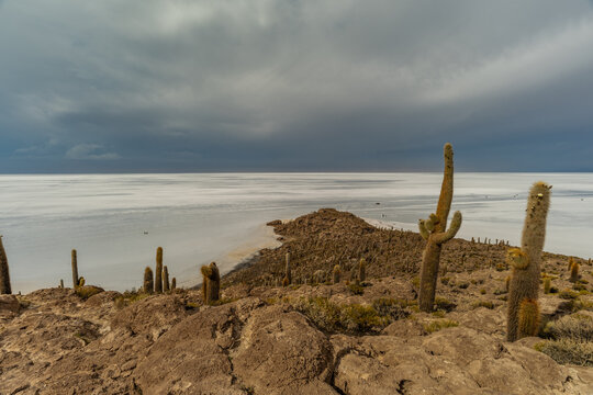 Salar de Uyuni salt plains with large cactuses of island Incahuasi at sunrise time, Andean Altiplano, Bolivia, South America.