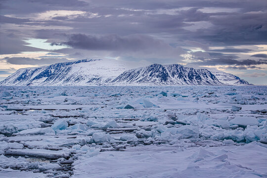 Floating icebergs in arctic ocean under cloudy sky near svalbard archipelago with landscape, wilderness