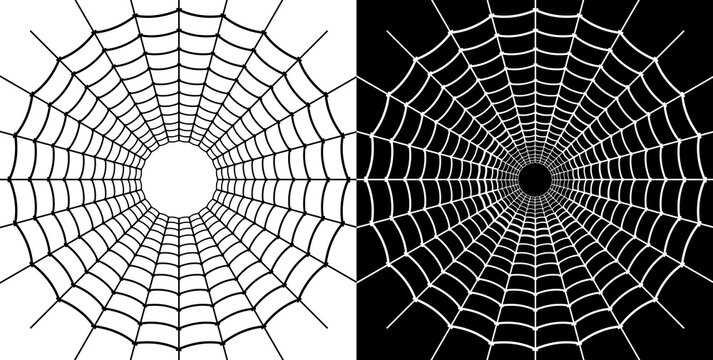 spider web in the morning black in white pattern.
