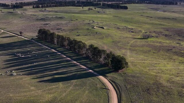 Aerial View of Winding Dirt Road and Tree Line in Rural Australia