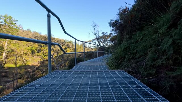 Metal Boardwalk Hiking Trail Through Eucalyptus Forest in Wentworth Falls