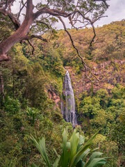 Waterfall in the Forest Vertical Orientation © Kevin