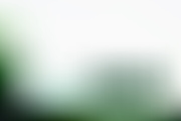 Fototapeta premium Soft blurred gradient background, with white and, forest green tones