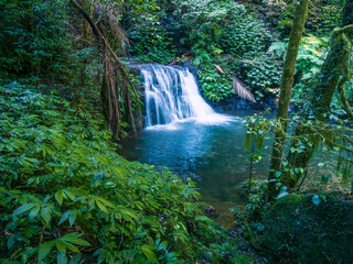 Waterfall in the Rainforest © Kevin