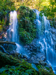 Waterfall in the Forest Vertical Orientation © Kevin