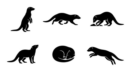 Obraz premium Ferret Animal Silhouettes, Wildlife Icons, Mammal Vector Graphics, Pet Collection