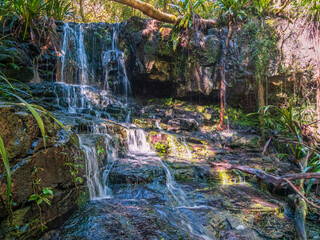 Waterfall in the Rainforest © Kevin