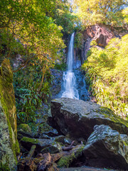 Waterfall in the Forest Vertical Orientation © Kevin
