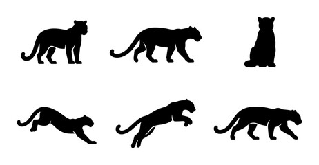 Fototapeta premium Panther Silhouettes Collection, Wild Cat Vector Icons, Big Cat Poses, Black Animal Graphics