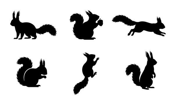 Squirrel Silhouettes, Vector Icons Set: Wild Forest Animals, Cute Rodent Poses, Nature Graphics