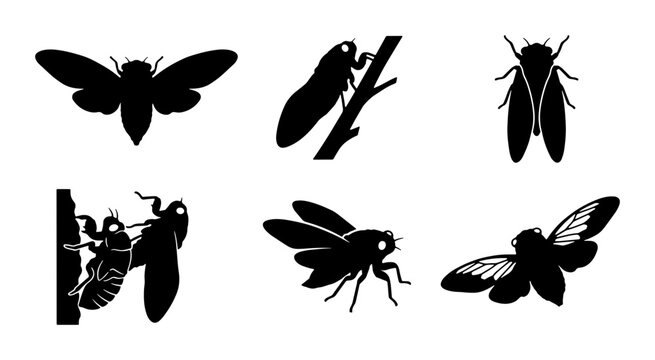 Cicada Silhouettes Collection, Insect Vector Icons, Nature Wildlife Graphics, Summer Sound Insects
