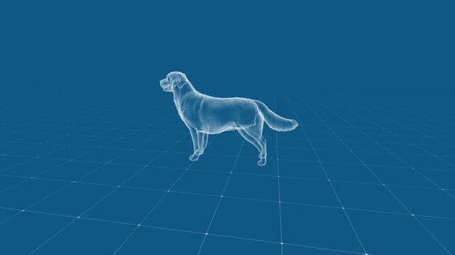 Digital Wireframe Dog in Futuristic Virtual Grid Landscape Art Scene