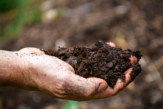 Person holds rich compost to promote sustainable gardening and eco-friendly practices in modern agriculture - horizontal