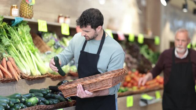  Adult man seller in apron puts fresh cucumbers on display at vegetable market