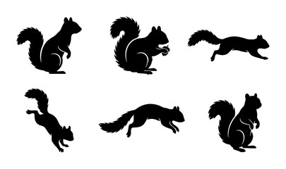 Obraz premium Squirrel Silhouettes: Six Vector Poses of Rodents in Motion, Forest Wildlife Icons